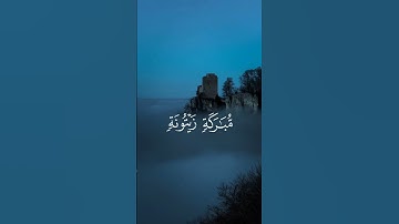 سورة النور💙🎧#محمداللحيدان #القرآن_الكريم #quran #اكسبلور #explore #like