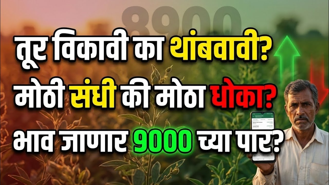तूर बाजारात स्फोटक वाढ? 🚀 9000 पार जाण्याची शक्यता! | आजचा तूर भाव लाईव्ह अपडेट, हा व्हिडिओ बघा