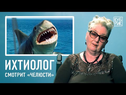 Видео: Ихтиолог разбирает сцены из фильмов «Челюсти», «Аквамен», «Пираты Карибского моря», «Монстр глубины»