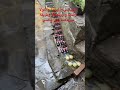 البيبسي والميرندا والكولا والتيم واورنجينا وطريقة تبريدهما في الماضي اكتب سبحان الله في التعليقات البيبسي والميرندا والكولا والتيم واورنجينا وطريقة تبريدهما في الماضي اكتب سبحان الله في التعليقات
