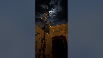 سورة ق كاملة القارئ يوسف العامر 🤍🙏🏻( الرس)