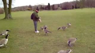 100_2299.mov