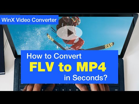 How to Convert FLV to MP4 in Seconds