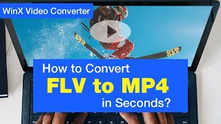 How to Convert FLV to MP4 in Seconds screenshot 4