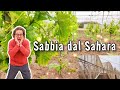 Sabbia Sahariana durante la Fase di Allegagione Uva da Tavola [2×7]