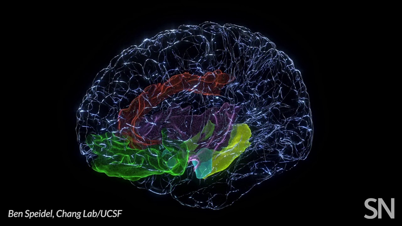 Brain areas involved in mood | Science News - YouTube
