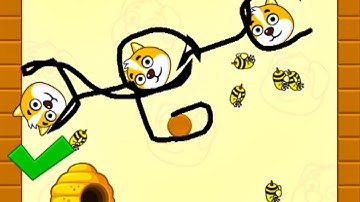 Save The Dog Speedrun Gameplay Level 516