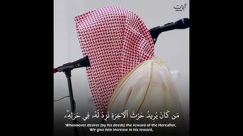 الله لطيف بعباده تلاوة خاشعة تبعث الطمأنينة للقلب   ناصر القطامي   حالات واتس قرآن كريم   Quran360P