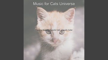 Pulsating Music for Calming Kittens