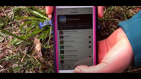 How to use iNaturalist