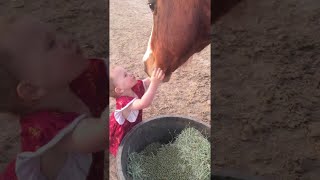 Kiddo Gives Good Night Kisses to Her Horses || ViralHog