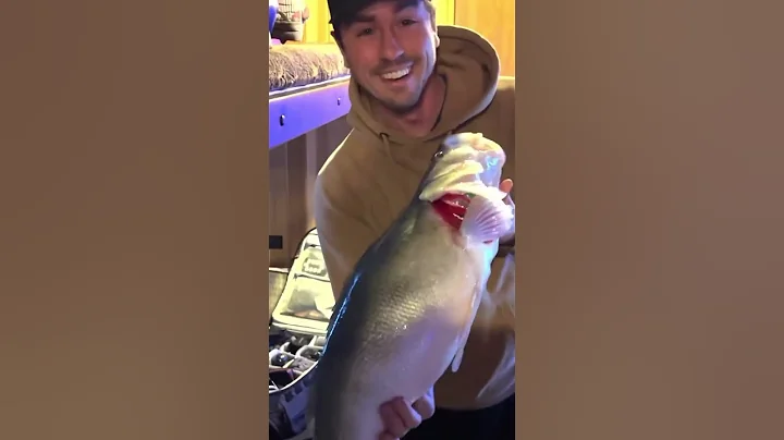 winter fishing 😍#survival #outdoorcooking #outdoors #fishing #fish #winter #food #nature