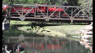 Walt Disney World Railroad, 50th Anniversary, 1-14-2023