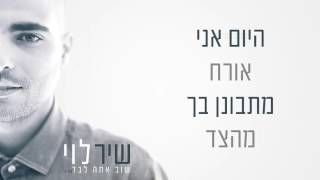 שיר לוי - שוב אתה לבד chords