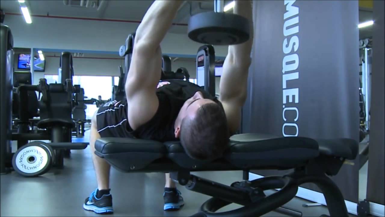 straight arm dumbbell pullover alternative straight arm dumbbell pullover alternative
