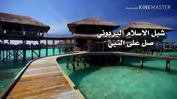 تلاوة نادرة _// _  سورة التكاثر _// _  الشيخ يحيى القباطي حفظه الله