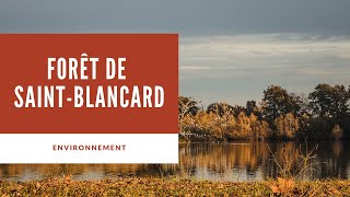 ENVIRONNEMENT - Forêt de Saint-Blancard