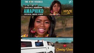 Promo Video (Official) Amaphiko by Siphesihle Skhakhane