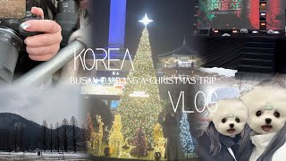【𝖪𝗈𝗋𝖾𝖺 𝖵𝗅𝗈𝗀】 釜山×潭陽×クリスマス旅行 2023年最後の韓国🇰🇷
