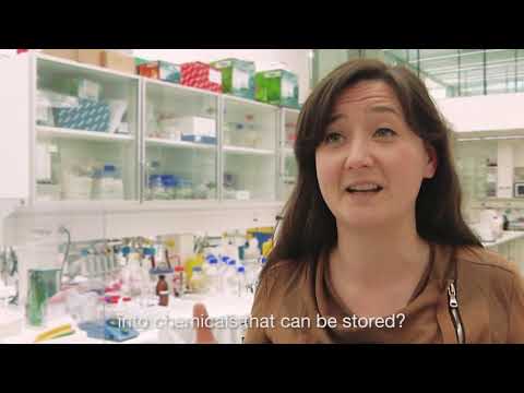 Electroactive microbes impact