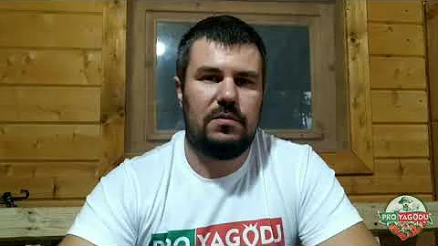 Насекомые вредители клубники. Трипс.