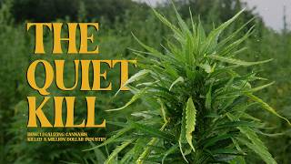 How Legalizing Cannabis Killed a Five Hundred Million Dollar Industry | The Quiet Kill