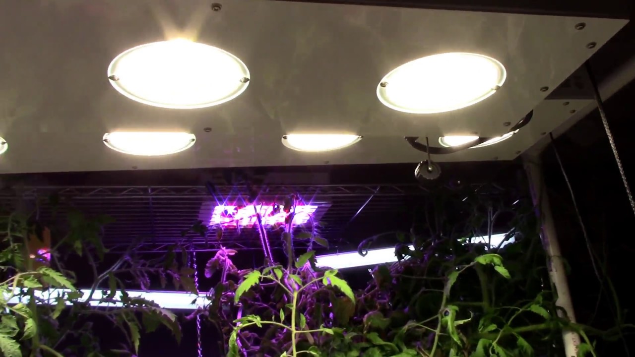 Ugh,Totally Forgot Mg and Ca...Rescue on the way.  No-Spill Revolution;It's Alive!