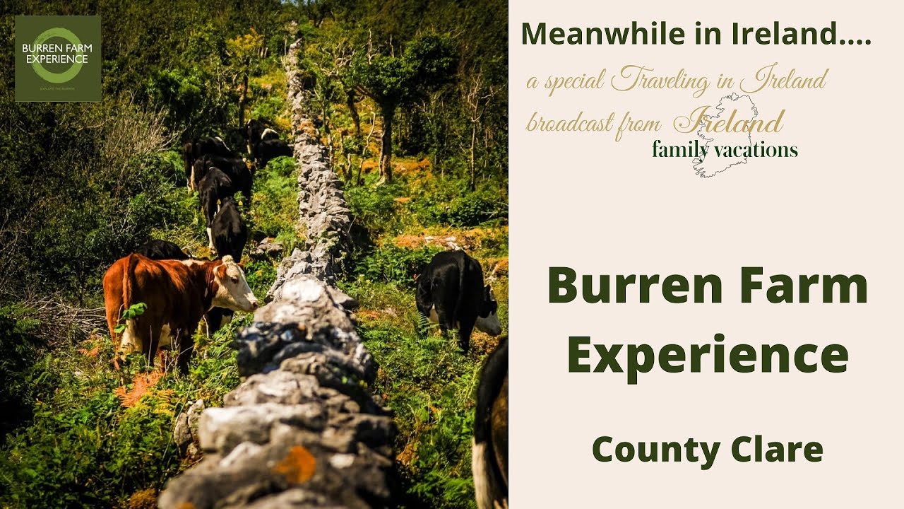 Tobercemy — Burrane Lower