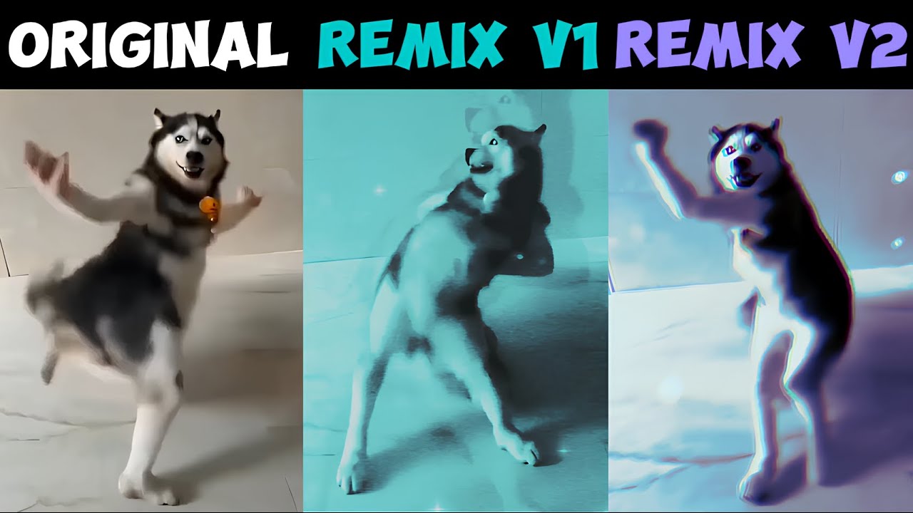 AI Dog Dancing Original vs Remix V1 vs Remix V2