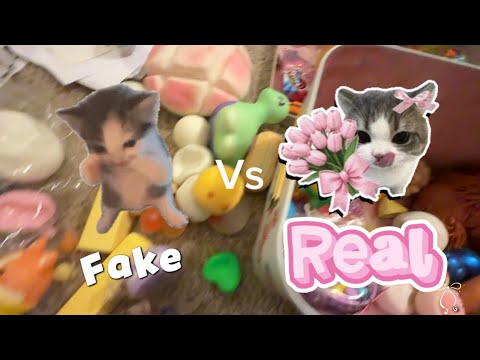 Fake vs real squishies!