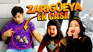 ADOPTE UNAS ZARIGÜEYAS | Rommel Racp Ft. Elvia Maji