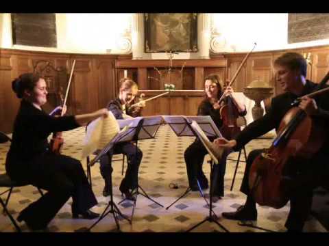 Mozart : String quartet n°1 K80 - Allegro