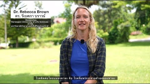 PANDASIA Glossary: Vector-Borne Diseases