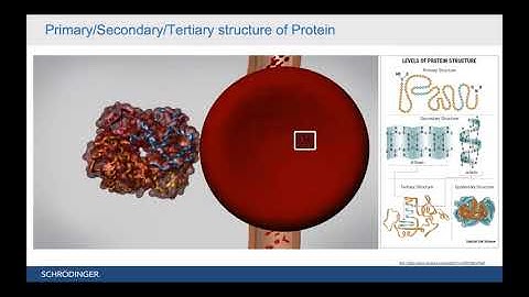 Introduction to Computational Drug Design & Target structure understanding