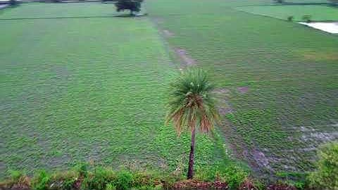 Quick Shot in Circle By Mavic Mini