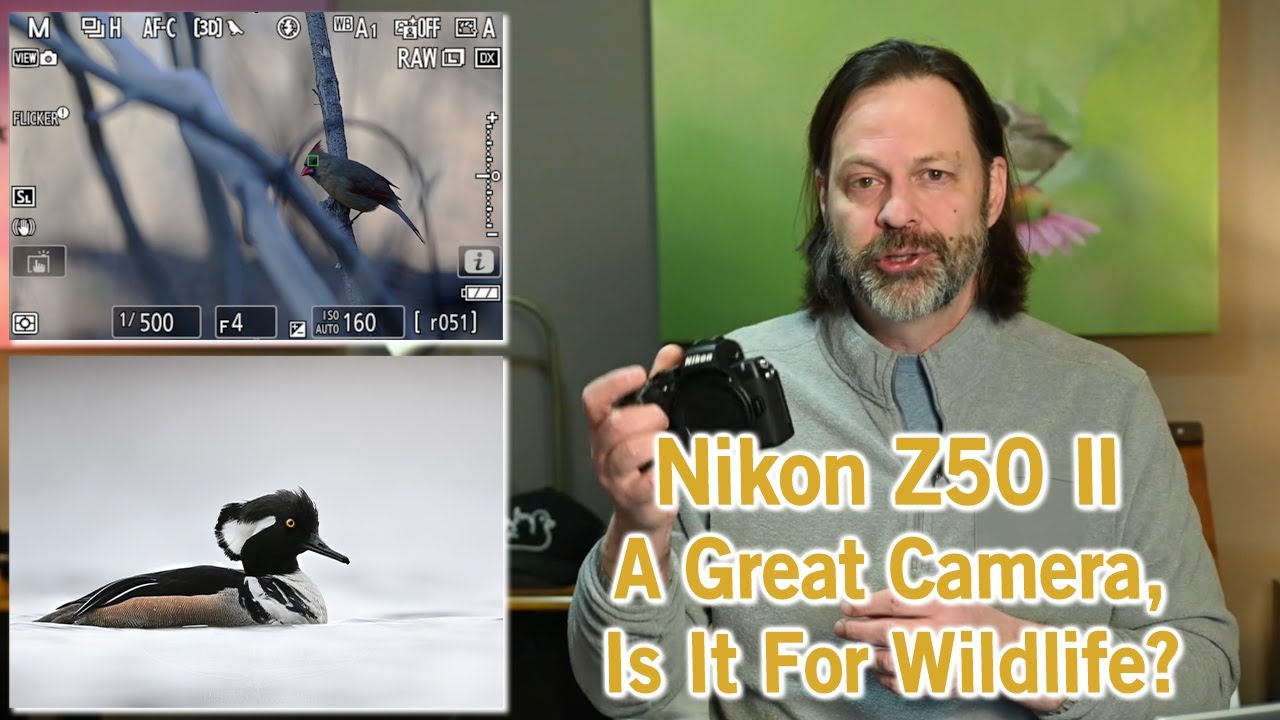 NIkon Z50 II