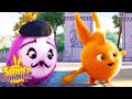 SUNNY BUNNIES - Croissants and Face Paint  | Season 3 | Cartoons for Children