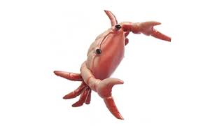 Slurmcore - Crab Rave X Everybodys Free To Feel Good