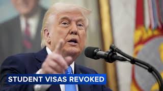Student visas being revoked for several college students across US