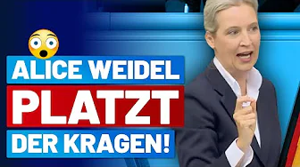 😂 Alice Weidel holt zur Generalabrechnung mit der kompletten politischen Klasse aus! - AfD-Fraktion