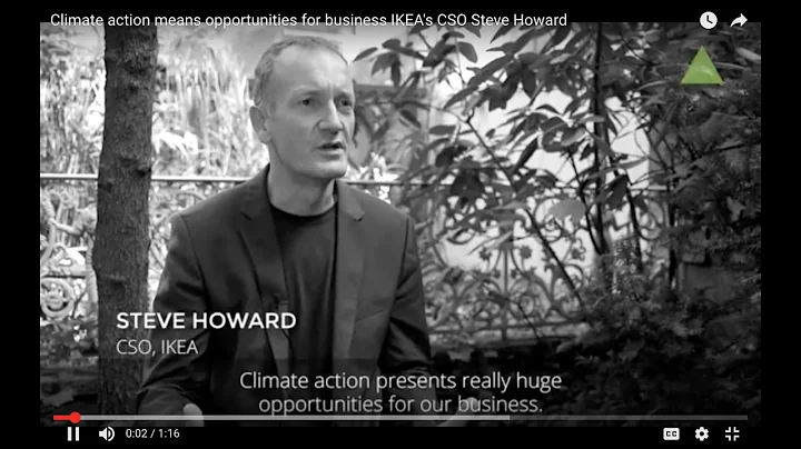 Climate action means opportunities for business IKEA's CSO Steve Howard