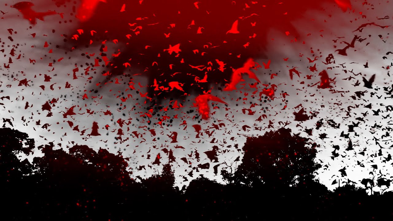 Watch WUR - Destructive Romance on YouTube Watch WUR - Destructive Romance on YouTube