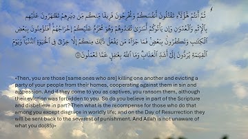 سورة البقرة - صفحة 13 - محمد صديق المنشاوي