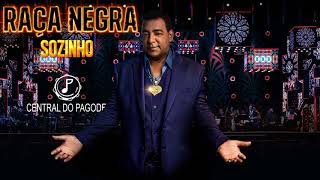 Raça Negra - Sozinho