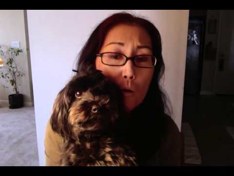 Kinta Sings A Japanese Enka