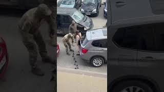 IMG 0743