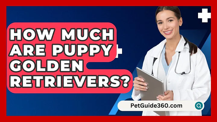How Much Are Puppy Golden Retrievers? - PetGuide360.com