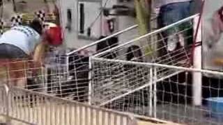 Pig Races 2007