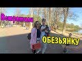 🙊Обезьянка/9 МАЯ/ЕВА🐕Биробиджан