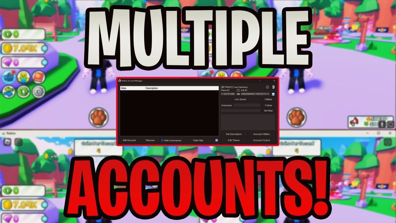 Roblox Multi Accounts